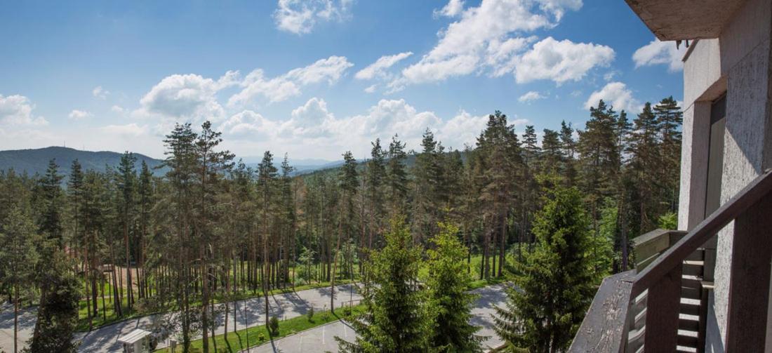 Eco Hotel Zdravetz Zar-Kalojan Esterno foto